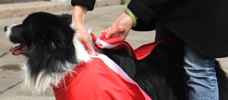 Pláštěnka pro psa Ben - modrá