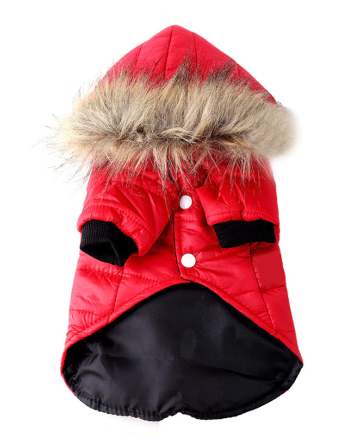 Bunda pro psa Paloma - červená